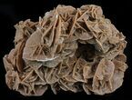 Desert (Selenite) Rose Formation - Sahara Desert #61227-1